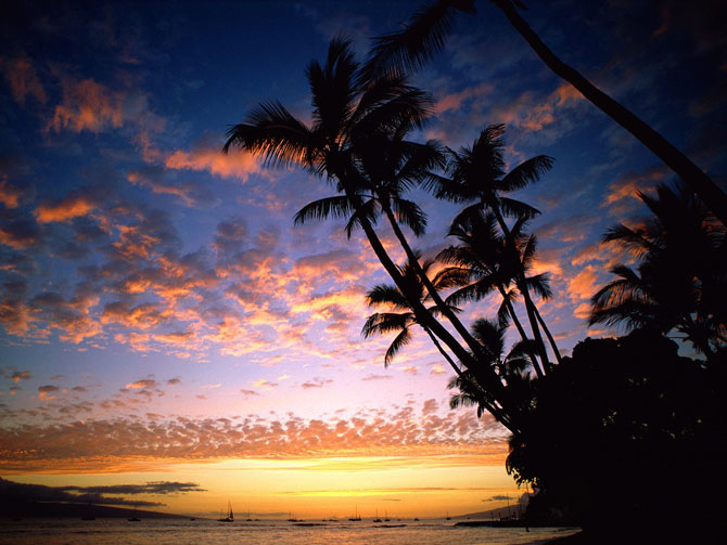 Description: 8. Hawaii5.jpg