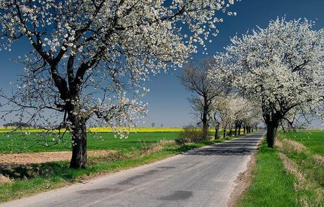 Description: http://cfs11.blog.daum.net/image/14/blog/2008/01/09/22/06/4784c60b0d9fc&filename=6476926-md.jpg