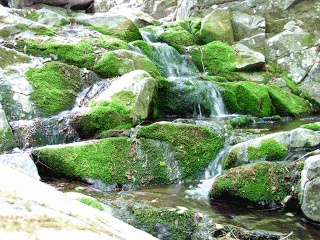 http://cfile270.uf.daum.net/image/215E384351E2C01D1E65DB