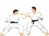 Judo Match